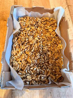 Loupané vlašské ořechy – sklizeň 2025 - 2