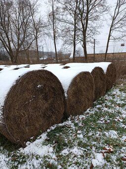 Prodám seno - 2