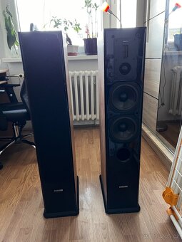 Repro Dynavoice DF 5 - 2