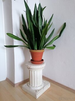 Antický sloup - dekorace - 2