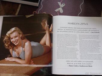 Marilyn v textech, obrazech a písních - 2
