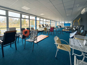 Pronájem obchodních prostor 174 m2, Bzenec - 2