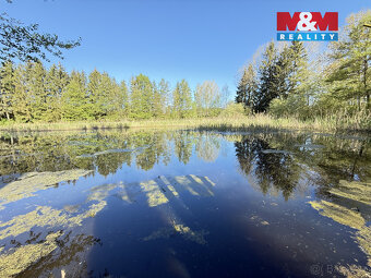 Prodej vodní plochy, 5965 m², Rychnov nad Kněžnou - 2