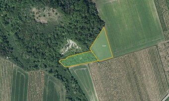 Sady, vinice, prodej, Želkovice, Louny - 2