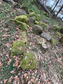 přírodní kameny, částečně porostlé mechem - 2