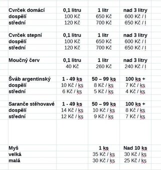 Prodej krmného hmyzu - 2