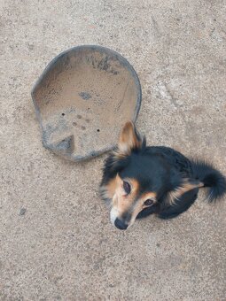 Lavor, sedačka na traktor, asi predvalka - 2