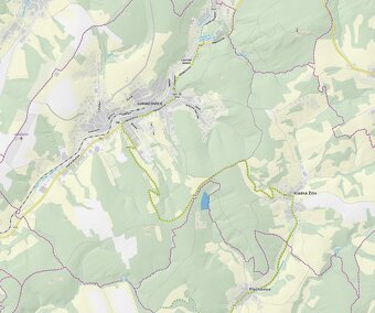 Prodej nevytěženého lesa u Luhačovic - 3,25 ha - 2