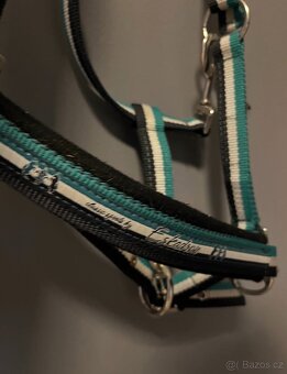 Ohlavka eskadron - 2