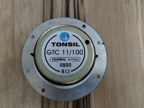 Tonsil GTC (GDWK) 11/100 - 2