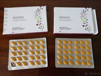 ZINZINO - 2
