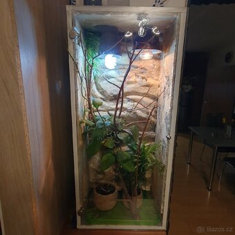 Terárium pro chameleona 100× 50 ×35 - 2
