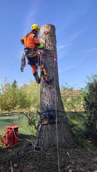 Rizikové kácení, ořezy stromů a údržba zahrad - HK kraj - 2