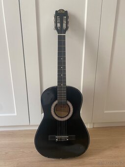 Klasická kytara ECHO C36 + kryt - 2
