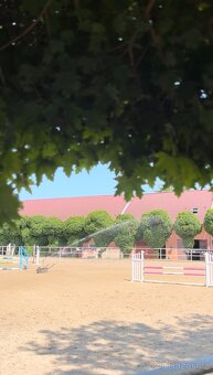 Ustájení v rodinné sportovní stáji – Equistable Korycany - 2