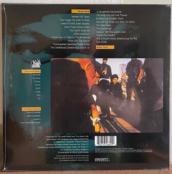 Vinyl Ice Cube - AmeriKKKa’s Most Wanted LP - 2