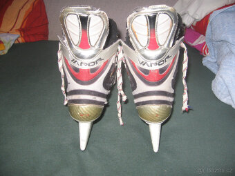 BRUSLE BAUER VAPOR XII - 2