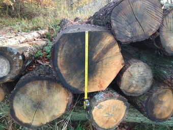 Dubová kulatina - 2