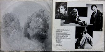 LP deska - Sonic Youth - Dirty (2LP) - 2