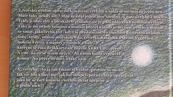Vikinská princezna, nová - 2