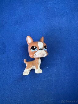 Littlest Pet Shop #1079 Boston Teriér - 2