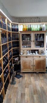 Sbírám - staré pivní láhve, půllitry, cedule, špuntovačka - 2