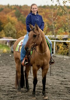 Líbivý 5-letý valach AQH, barva DUN, čistý 5-panel, RTG - 2