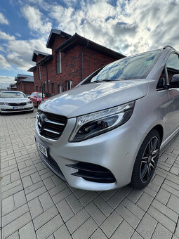 V - Amg - 2