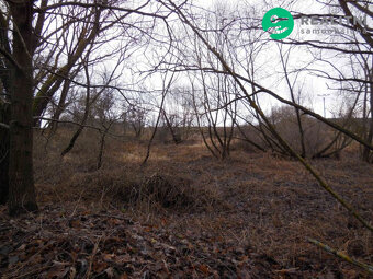 Zahrada Bezemín - 2