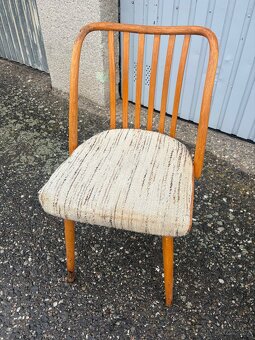 Židle Antonín Šuman - 2