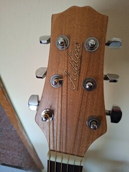 Prodám kytaru Ashton D46 polomasiv - 2