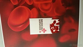 Kardiologie Miloš Táborský , Aleš Linhart , Josef Kautzner - 2