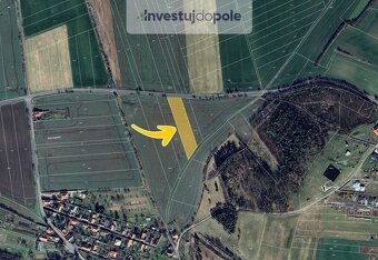 Prodej pole v k.ú. Cerhýnky - 2