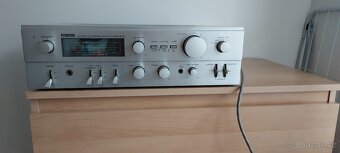 AUDIO REFLEX - 2