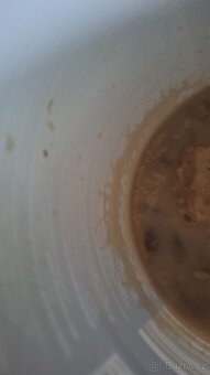 Živé krmivo: Grindal, Mikry - 2