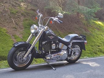 Harley Davidson Fatboy Evo - 2