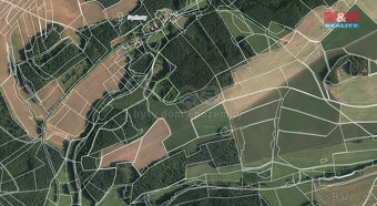 Prodej lesa a travního porostu 8354 m², Neveklov - 2
