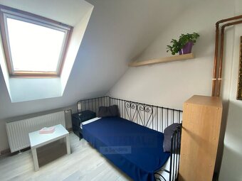 Pronájem bytu 1kk, 22 m2, zahrada, Mánesova ul., České Buděj - 2