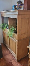 Terarium drevene - 2