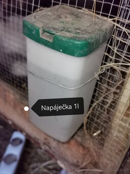 Rušení chovu králíků - 2