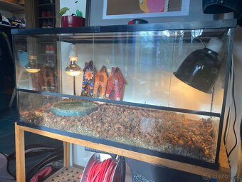 Terárium 80x40x40 - 2