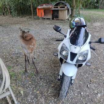 Honda VTR SP2 2005 USA verze - 2