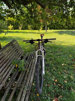 Focus Black Forest PRO 26 - 2