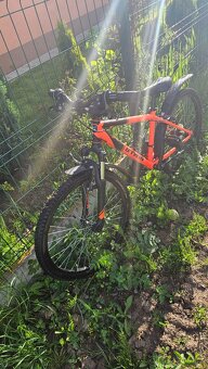Detske kolo B-twin velikost 24 - 2