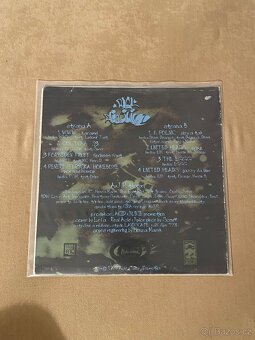 Vinyl Real Acid Juice LP - 2