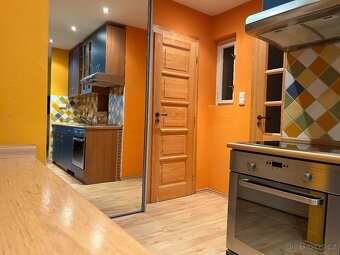 Pronájem bytu 1+kk 50 m² (Jednopodlažní) - 2