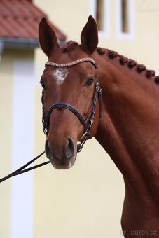 Osmiletý po Cento Lano - 2