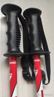 Sjezdové hole dětské - 2