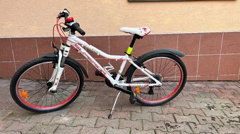 Dětské horské kolo Superior paint xc24 - 2