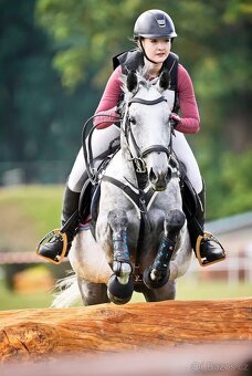 Klisna do sportu - 2